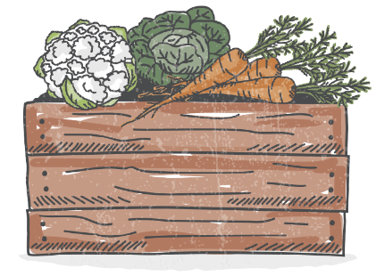 Crate of vegetables